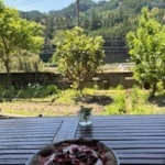 Thumbnail of post image 080