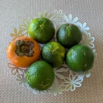 Thumbnail of post image 042