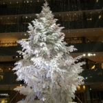 Thumbnail of post image 065