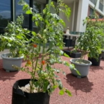 Thumbnail of post image 127